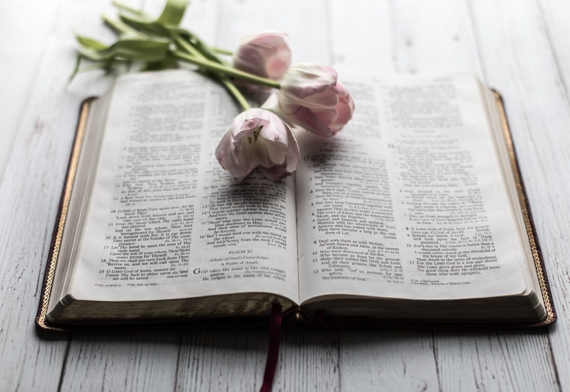 Stand Firm In The Battle